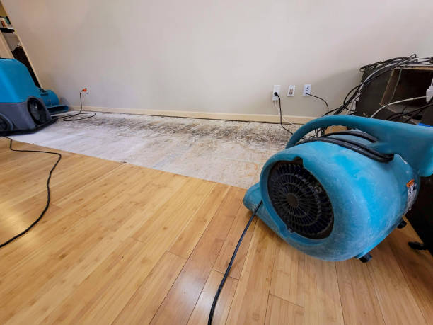 Professional Sewage Cleanup technician working in Simonton, TX